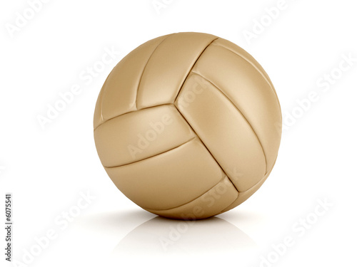 pallone volley classico photo