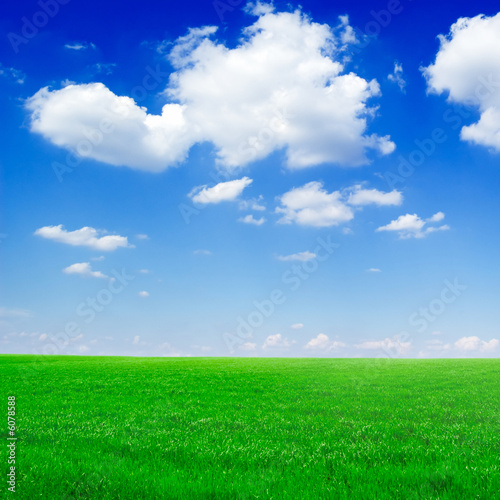 field, blue sky and white clouds landscape
