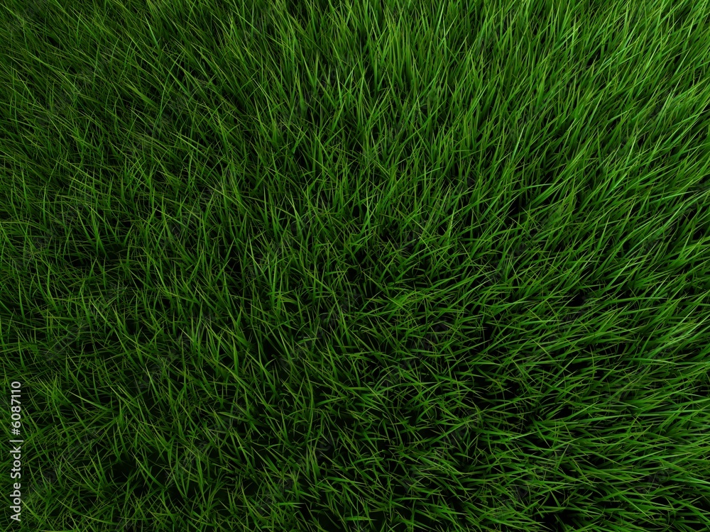 3d gras