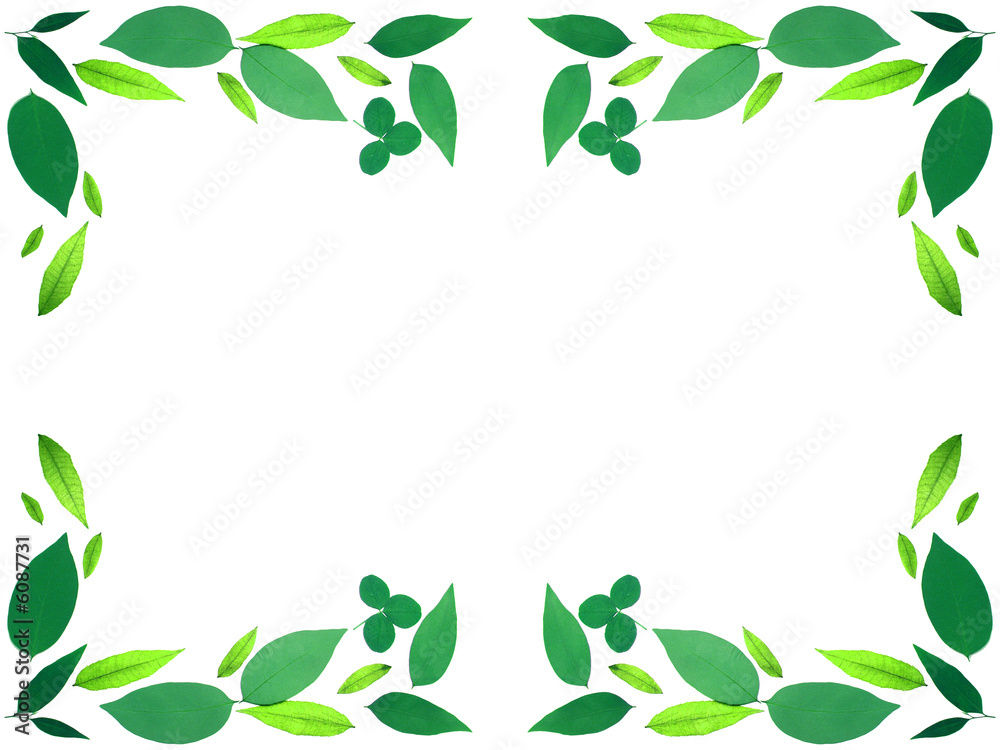 cadre feuilles