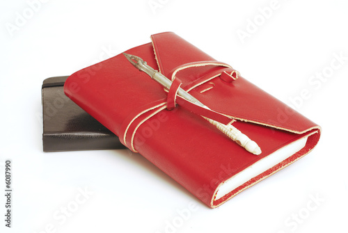 diary book red