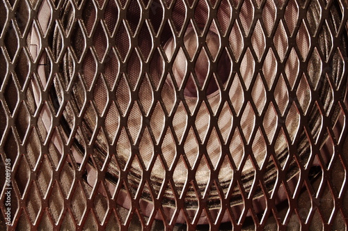 speaker behind grid