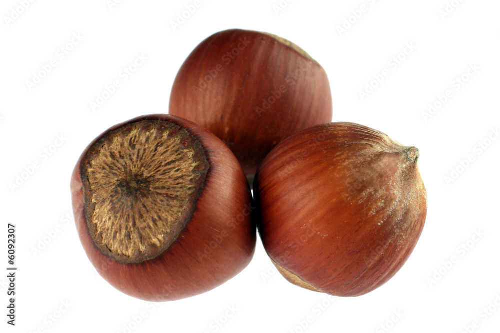 Hazel nut group isolated on white background Hazel nut group isolated on white background