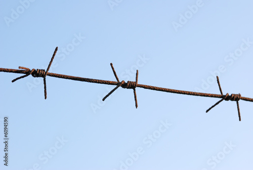 The barbed wire 