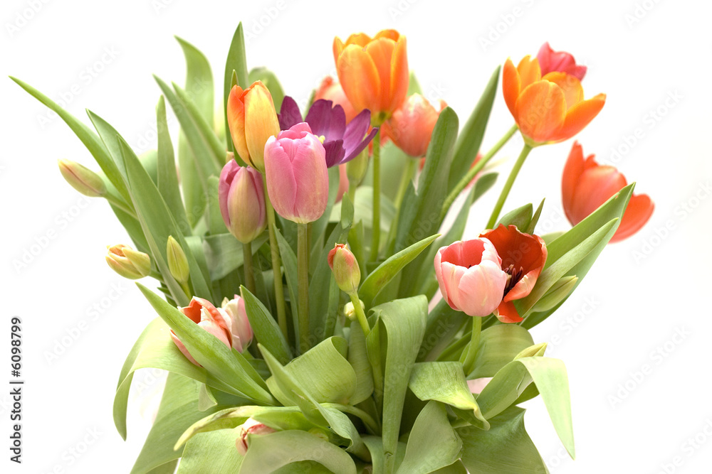 Big bouquet of tulips on white background Big bouquet of tulips on white background