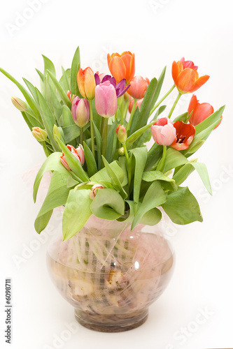 Bouquet of fresh tulips in vase on white background