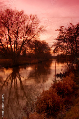 River and Tree