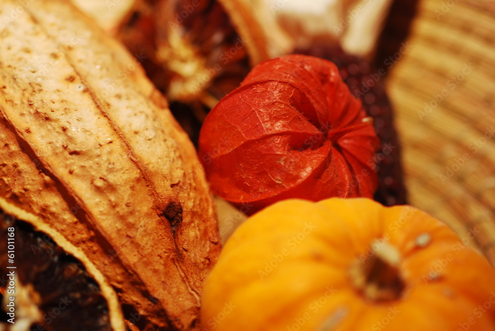 autumn things composition autumn things composition