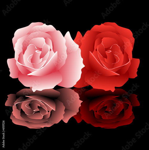 Roses