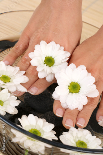 beautiful female hands and bowl of pure water with daisy
