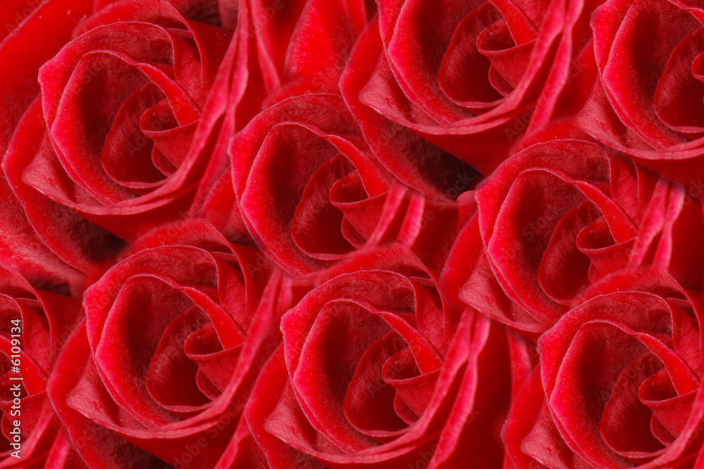 Naklejka premium Red roses background