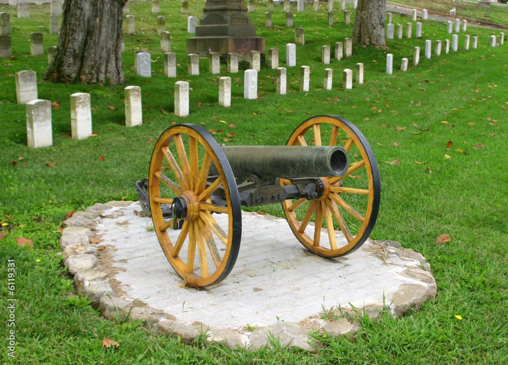 canon in front of veteran's tombstones