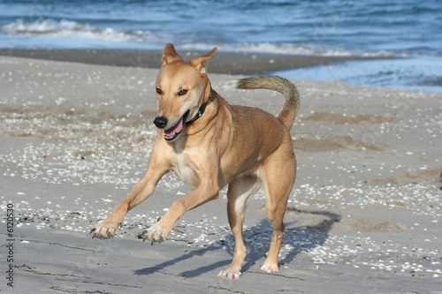 Nina am Strand