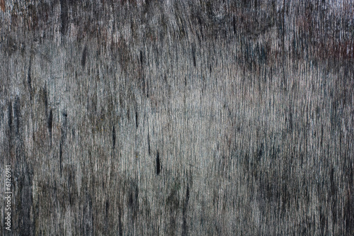 a photo of a texture of a very old gray wood