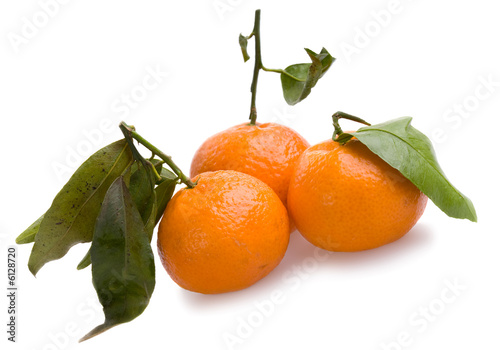 three tangerines macro isolated on white background