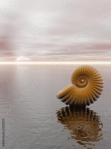 Gold shell on the sunset sea beach - 3d illustration.