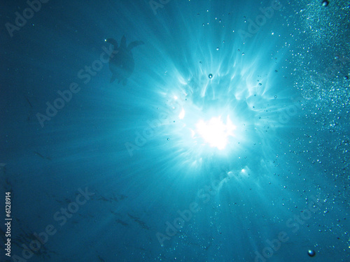 Rays from underwater 103