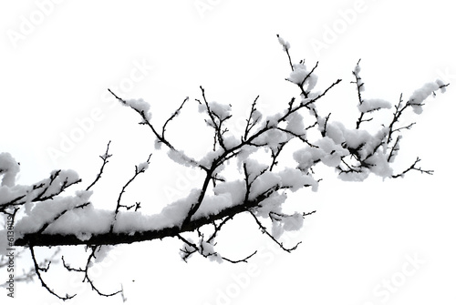 Fotótapéta winter branches with a lot of snow