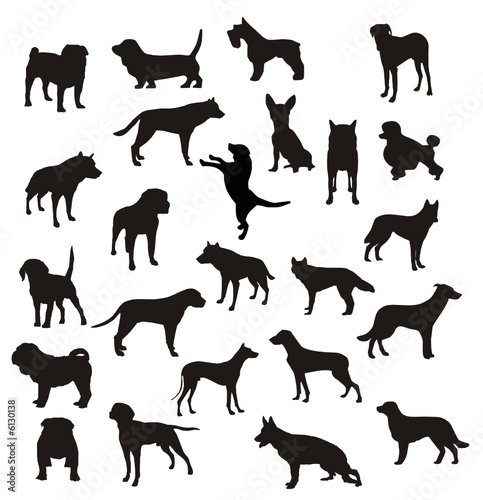siluetas de perros en vector