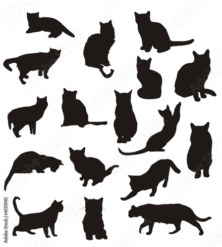siluetas de gatos en vector
