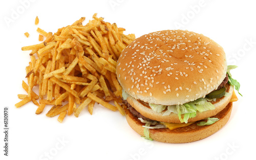 french fries and hamburger against white background