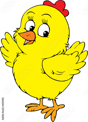 Yellow chick 