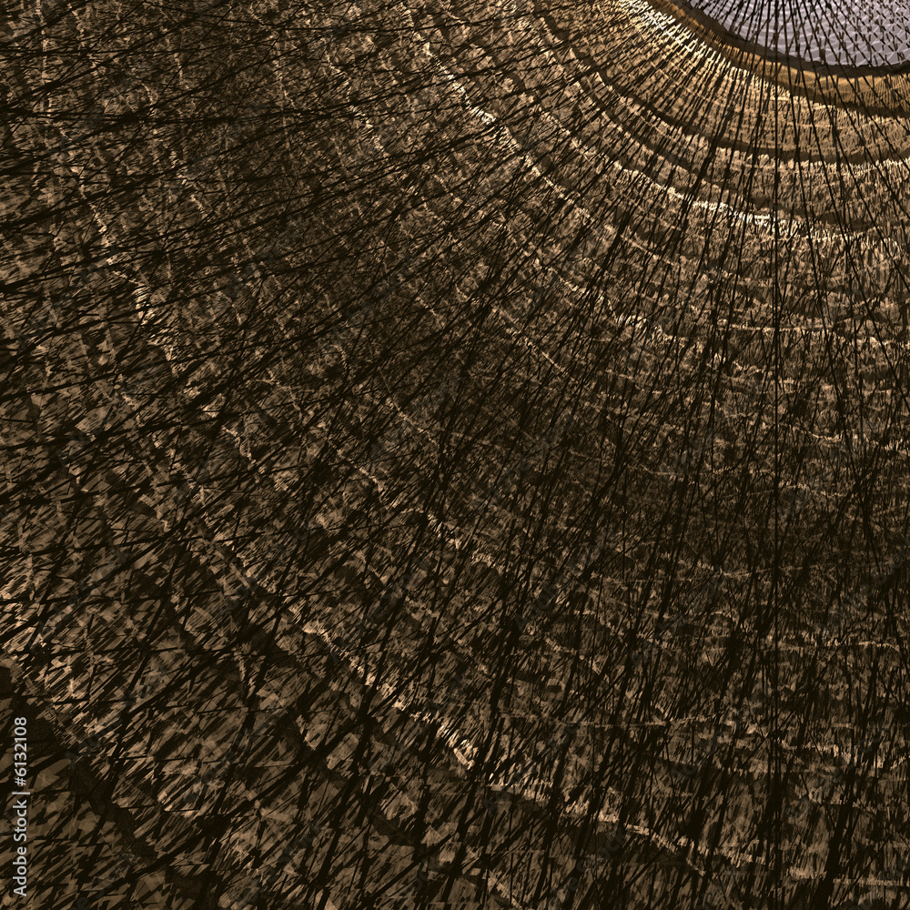 Fototapeta premium abstract fractal rendering of rings of a tree