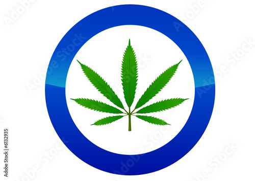 Autorisation du cannabis (reflet)