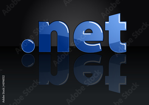 .net Domain