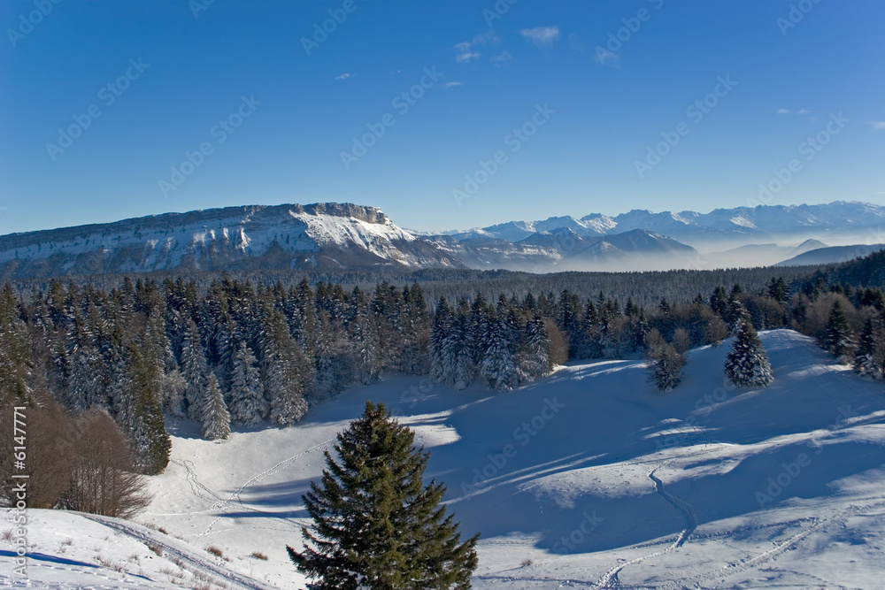 Landscape of mountain the winter with snow