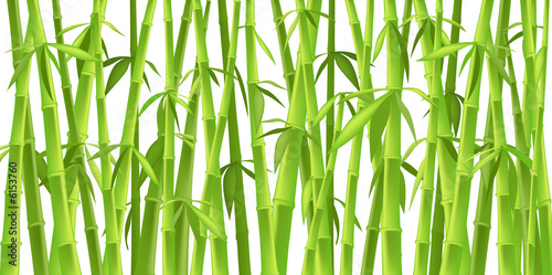 Fototapeta Naklejka Na Ścianę i Meble -  design of chinese bamboo trees