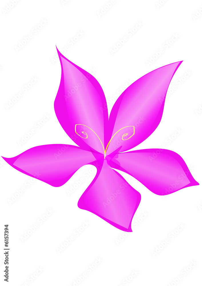 fiore fucsia
