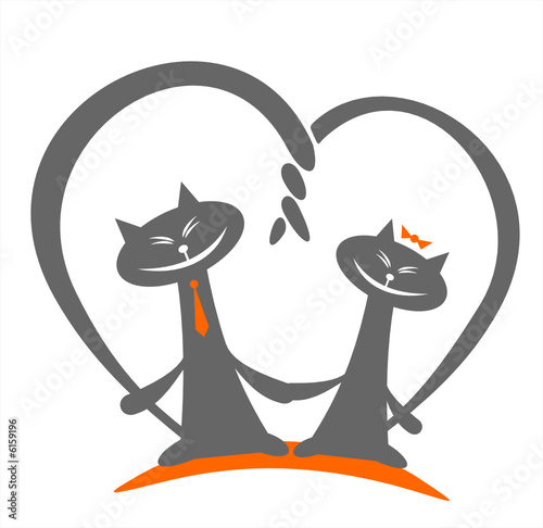 cats love