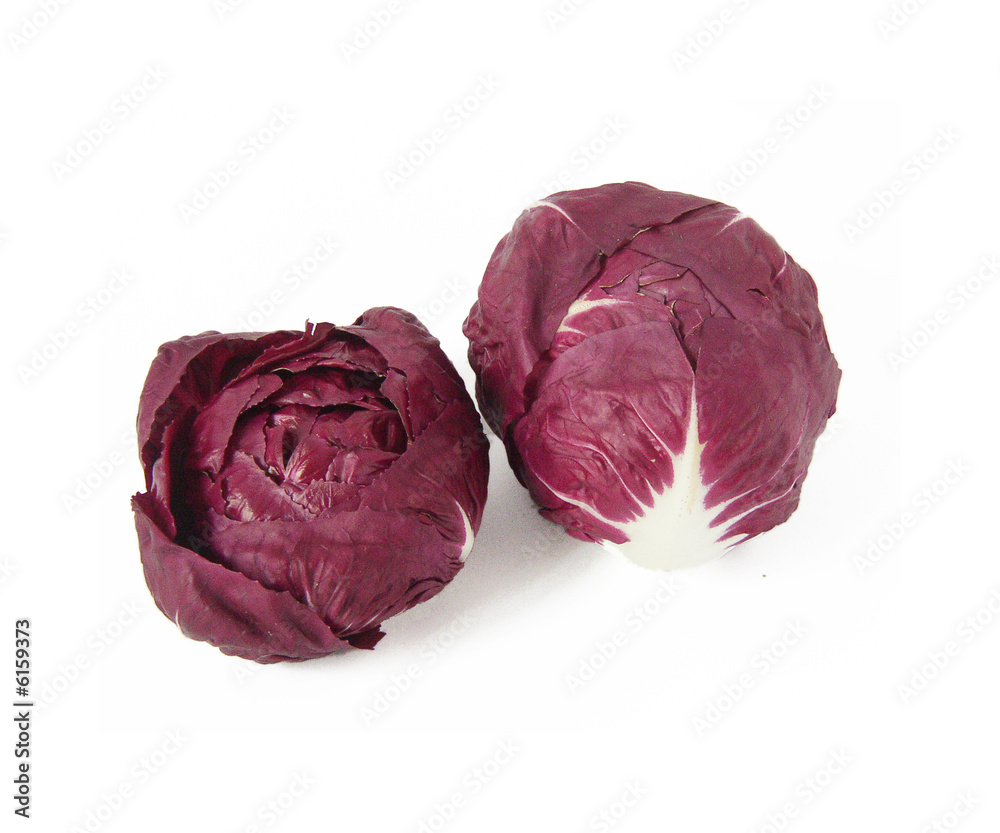 radicchio rosso di Chioggia, radicchio rosso di Chioggia,