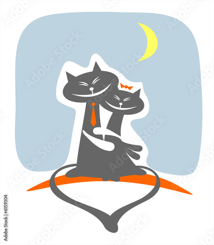night cats love