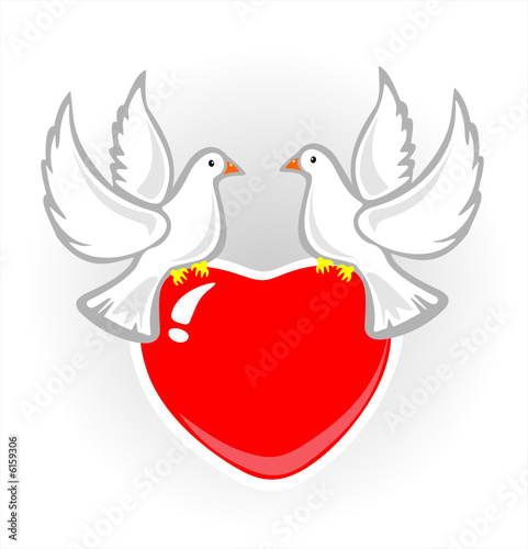 pigeons and heart