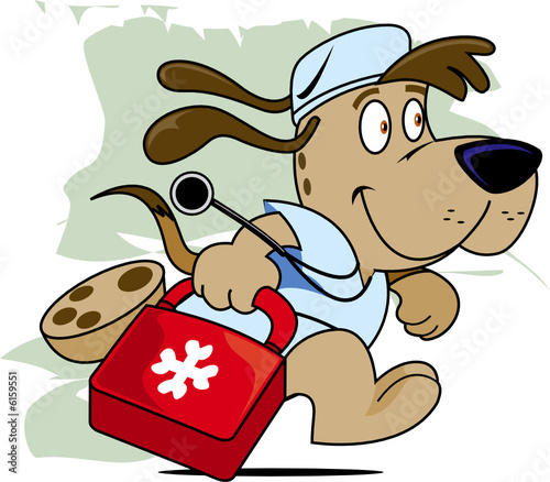 veterinaria
