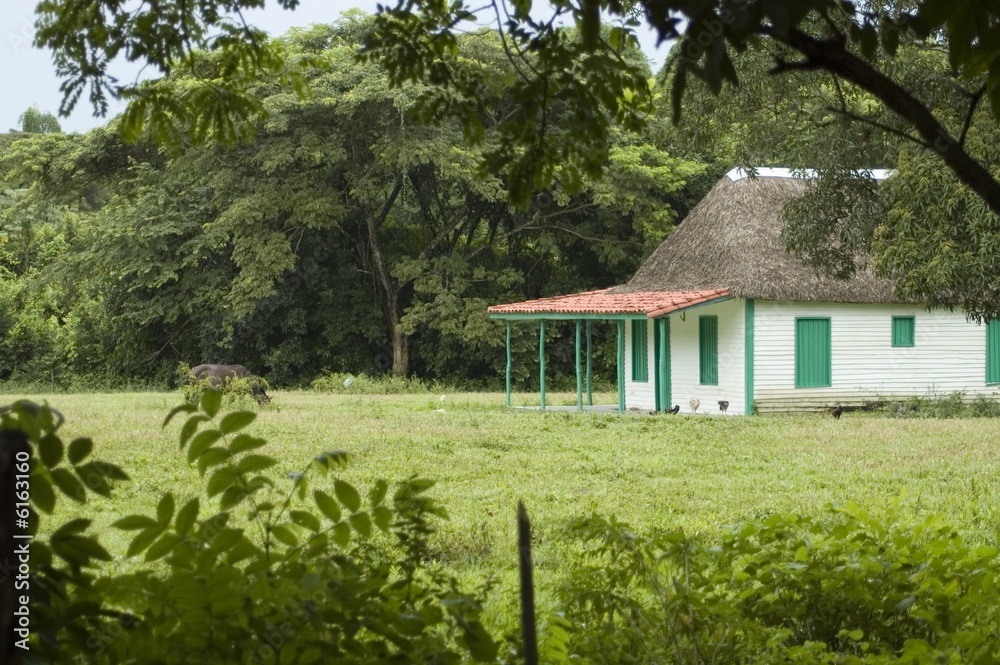 typical farm house typical farm house