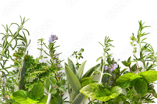 Fototapet Border of fresh herbs