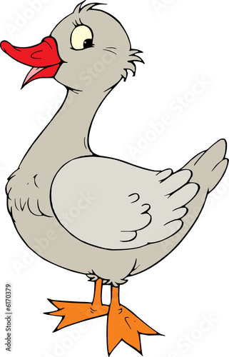 Grey goose 