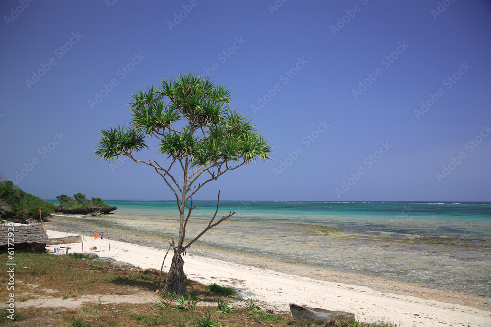 Stunning tropical beach with turquoise sea Mombassa Africa.