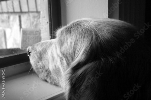Waiting
