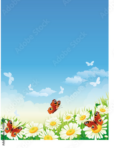 butterfly and flowers