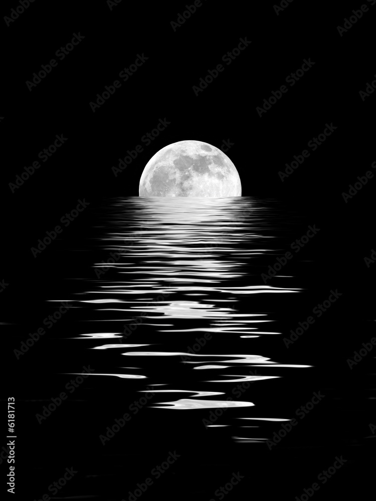 Fototapeta premium Moonlight Beauty