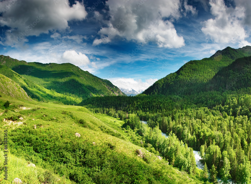 Obraz premium Mountain landscape with forest and blue sky