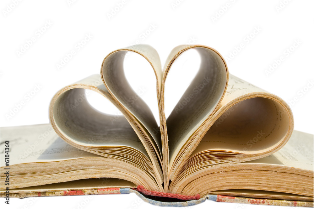 turned book on the isolated background turned book on the isolated background