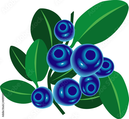Bilberries