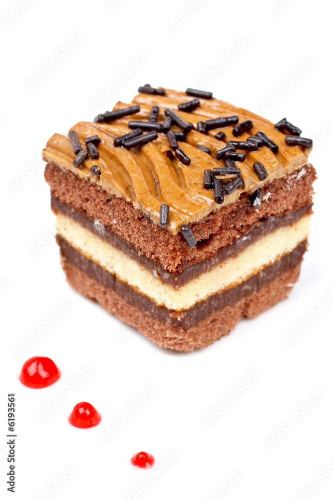 Chocolate cake with soft shadow on white dish. Shallow DOF Chocolate cake with soft shadow on white dish. Shallow DOF