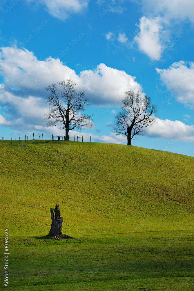 Fototapeta premium Peaceful Day