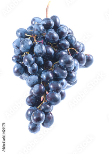 Grapes. Isolation on white